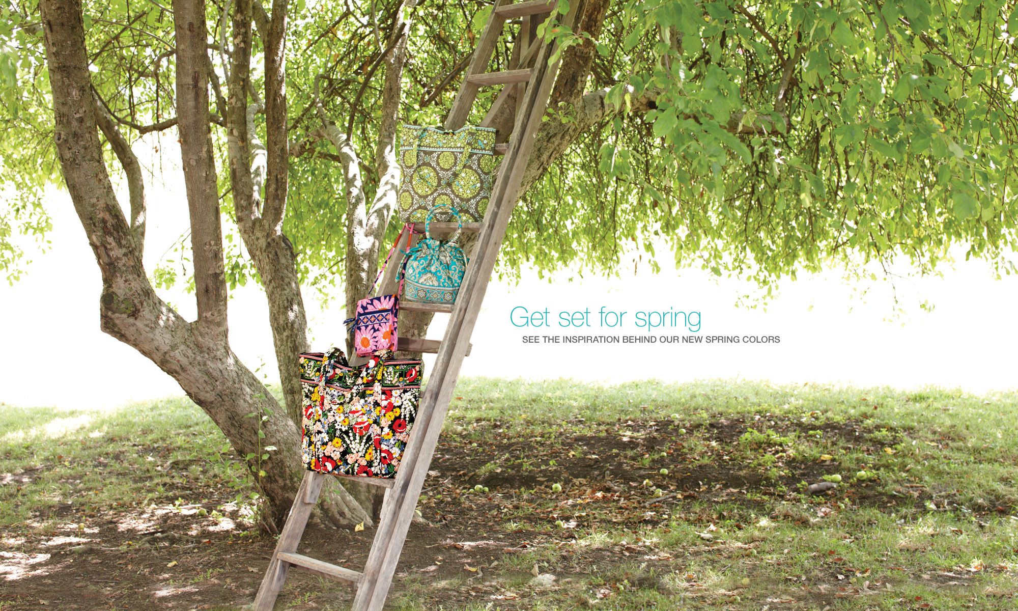 Get set for spring