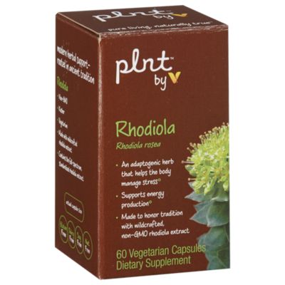 Rhodiola