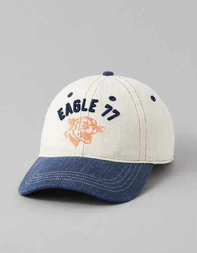 AE Vintage Eagle Baseball Hat