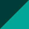 teal tint sport loop