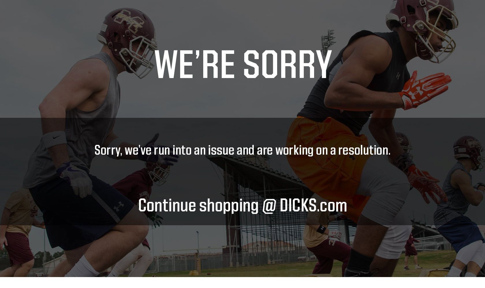Sorry, we've run into an issue and are working on a resolution. Continue shopping @ DICKS.com