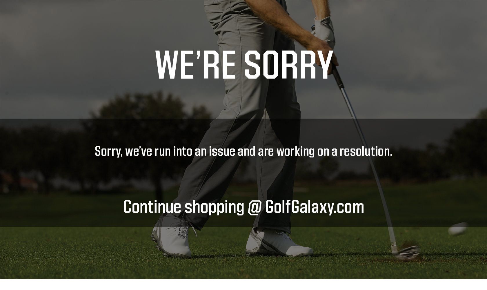 Sorry, we've run into an issue and are working on a resolution. Continue shopping @ GolfGalaxy.com