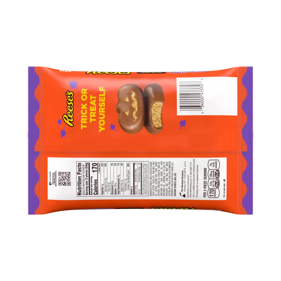 REESE'S Milk Chocolate Peanut Butter Snack Size Pumpkins, 10.2 oz bag - Back of Package