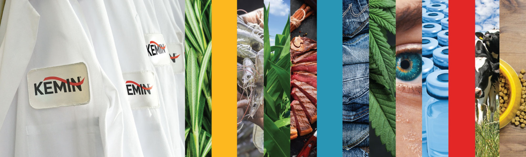 IMG-KI-00940_market_glory_banner