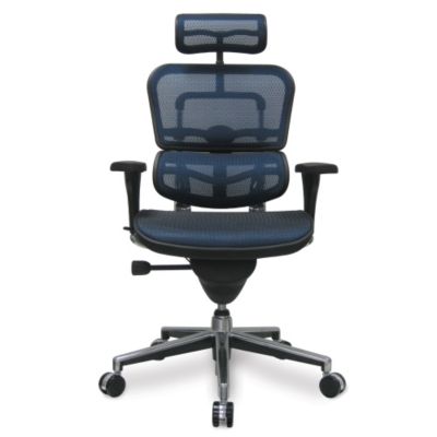 Eurotech Ergohuman Mesh Chair 18.1a”22.9″ Seat Height Highback