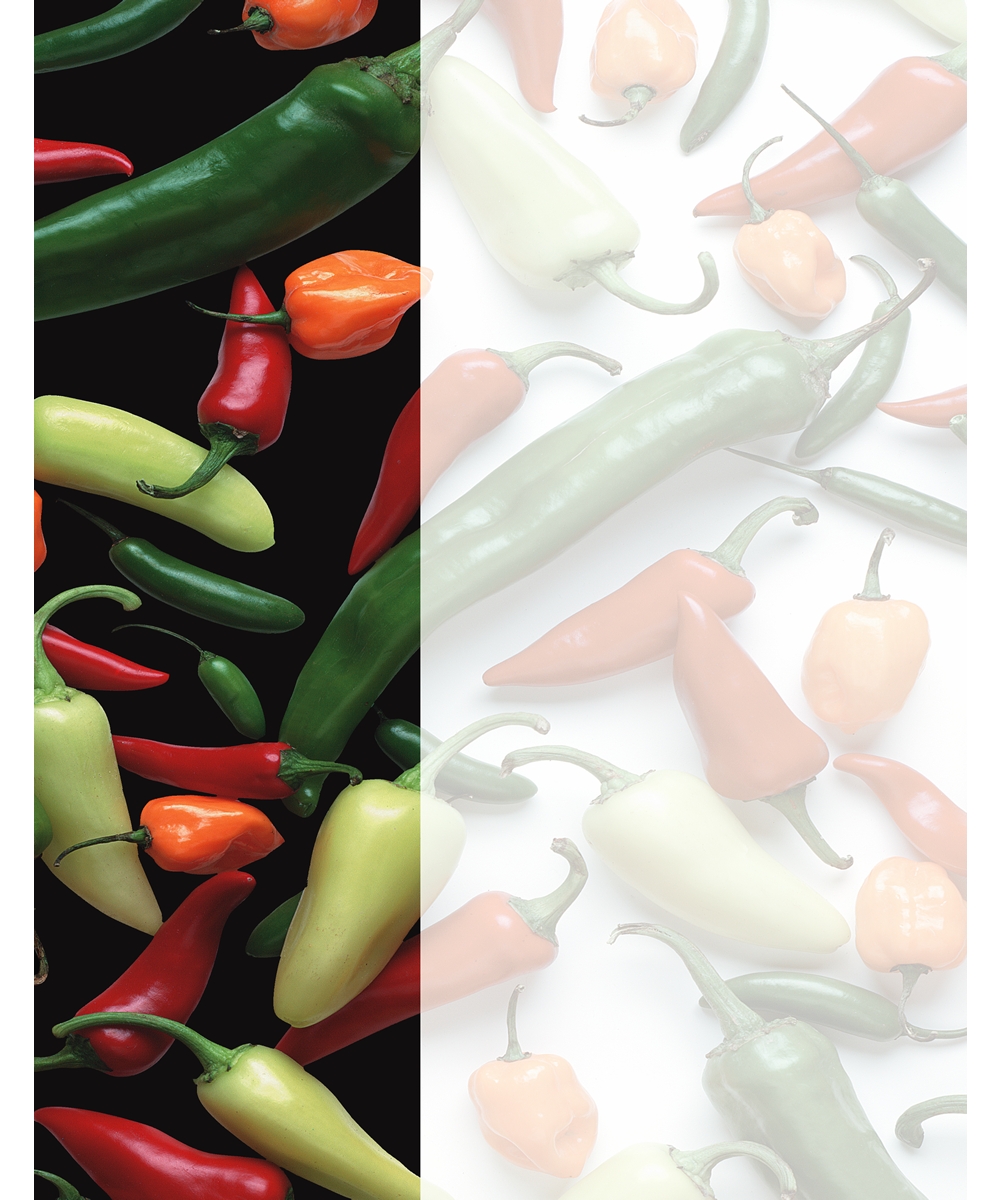 Peppers Insert Paper, 8.5X11