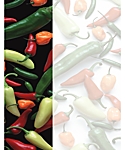 Peppers Insert Paper, 8.5X11