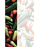 Peppers Insert Paper, 8.5X14