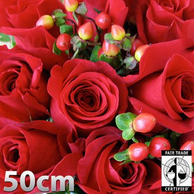 Fair Trade Premium Rose Bouquets - Red - 48 Stems