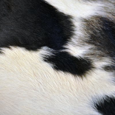 Safavieh Cowhide Rug