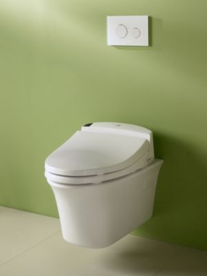 Maris® Wall-Hung Dual-Flush Toilet, 1.6 GPF u0026 0.9 GPF, Elongated Bowl