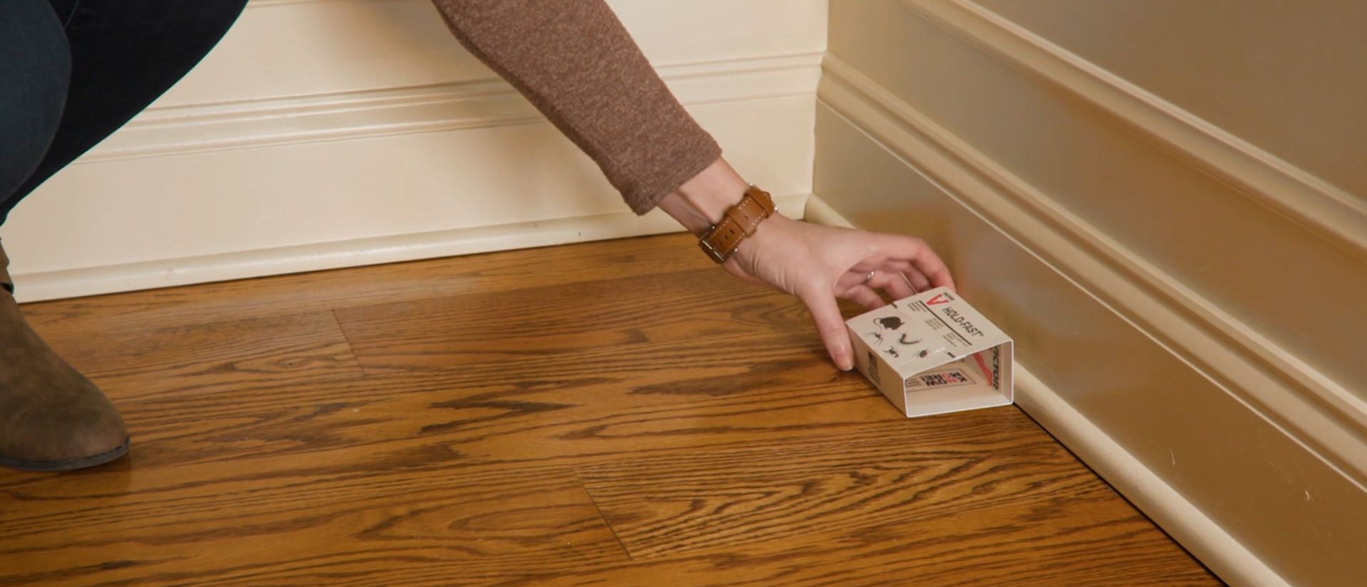 How to Properly Place Glue Traps