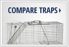 Compare Traps