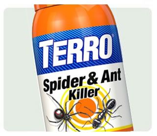 best spray for ants and spiders
