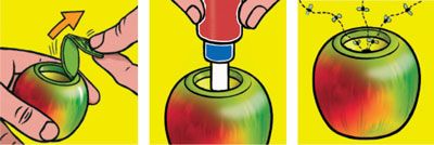 Terro Easy Activation Simple Activation