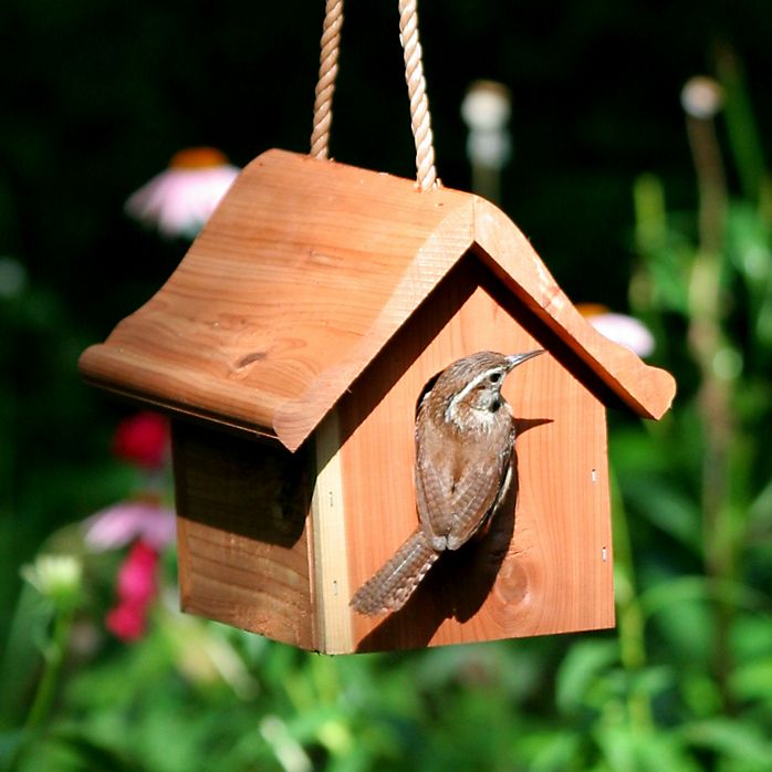 best-bird-houses-for-different-types-of-birds