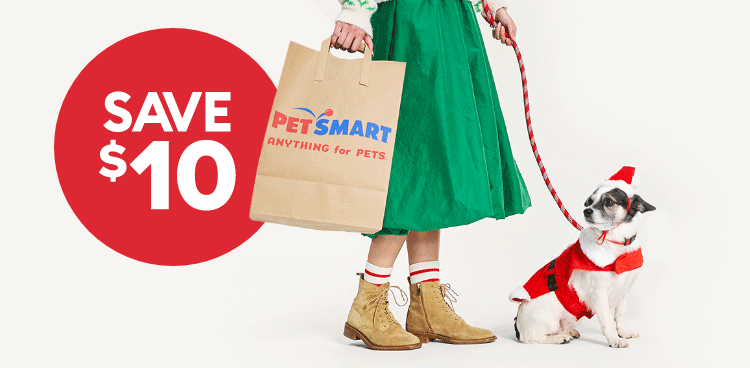 Purchase pets near me best sale