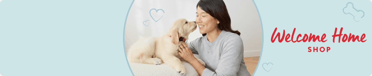 Rotation of woman with puppy,  cat with toy, 2 guinea pigs & bearded dragon with Welcome Home Shop