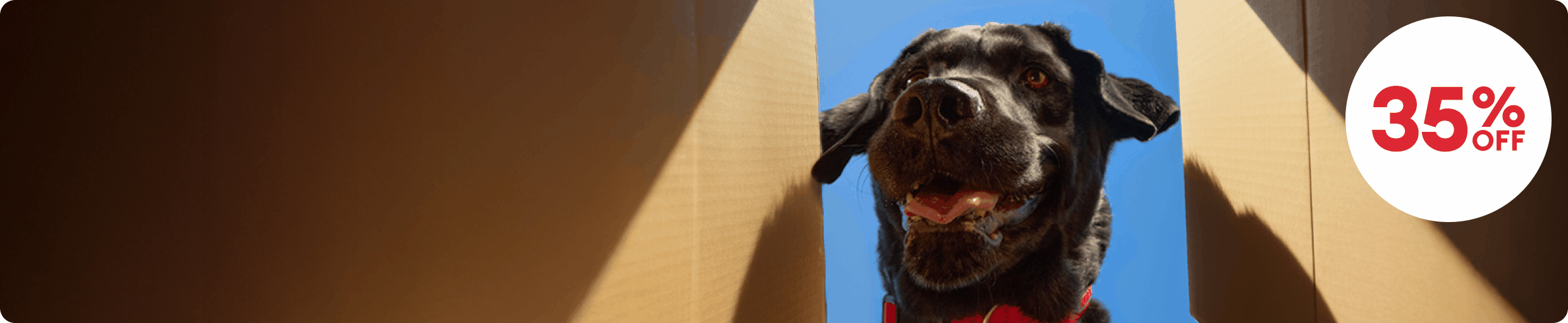 Dog looking inside an open shipping box & a callout that reads "35% off 1 week only!"