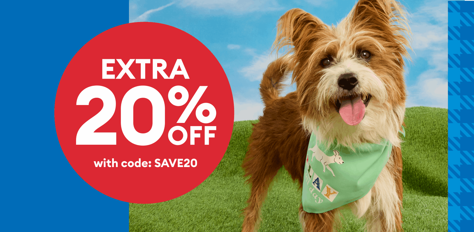 Extra 20% off with code SAVE20 callout, cat sniffing a red toy,  dog wearing a bandana, bearded dragon & a guinea pig  with a yellow ball 