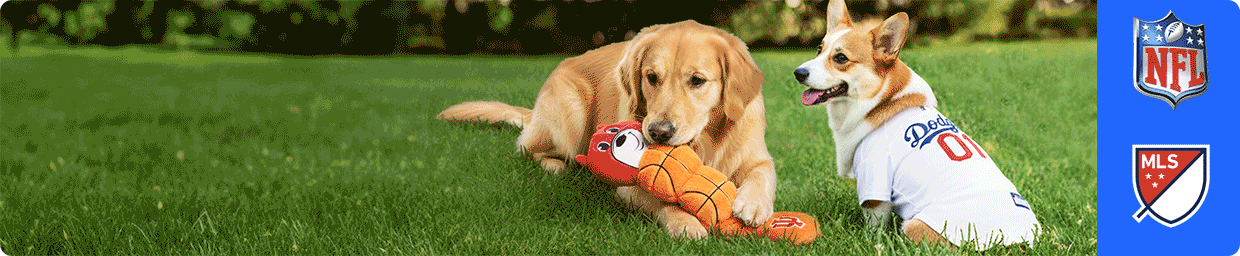 Golden retriever chewing a plush basketball toy beside a corgi wearing a Dodgers jersey & nine sports logos including NFL, MLB & NHL