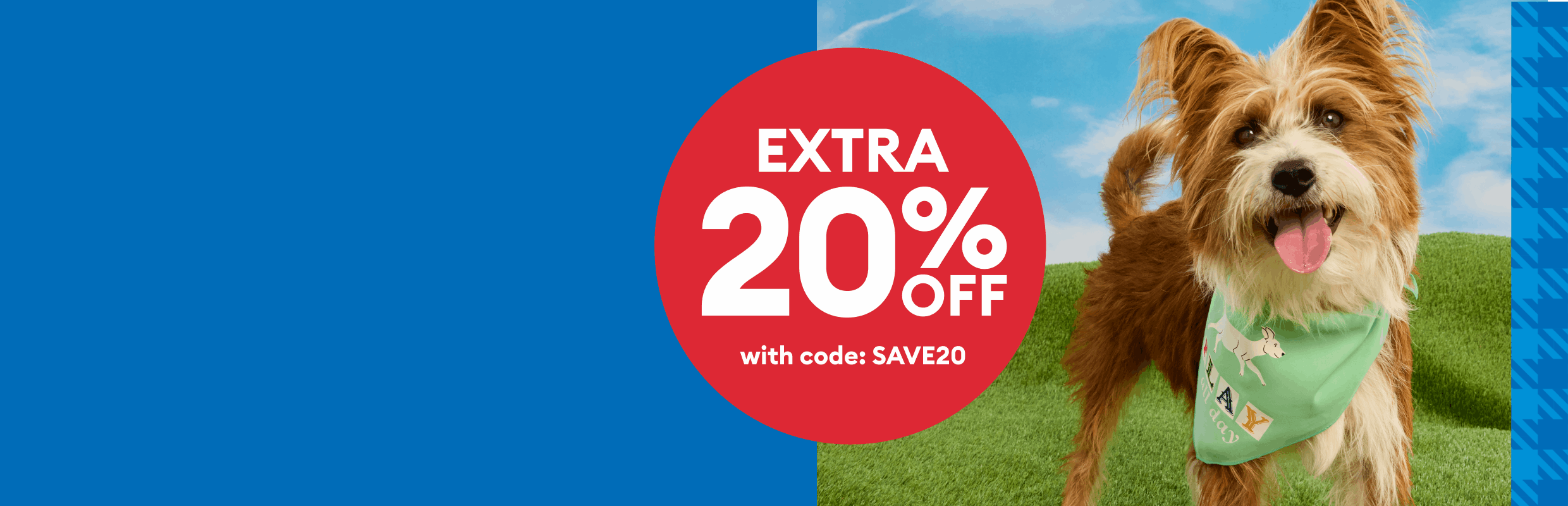 Extra 20% off with code SAVE20 callout, cat sniffing a red toy,  dog wearing a bandana, bearded dragon & a guinea pig  with a yellow ball