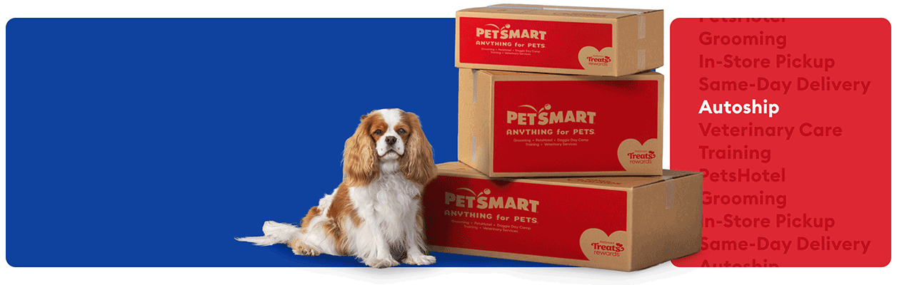Cavalier King Charles Spaniel sitting beside stacked PetSmart shipping boxes with Autoship highlighted in a list of services