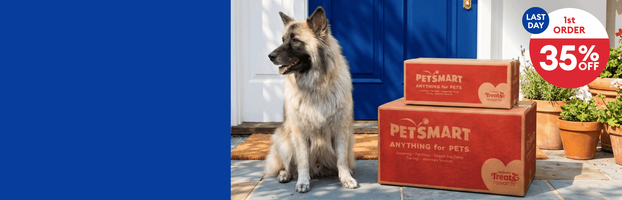 Dog sitting next to PetSmart boxes & a callout that says, 1st order 35% off, 2nd order 20% off, 3rd order 10% off, last day