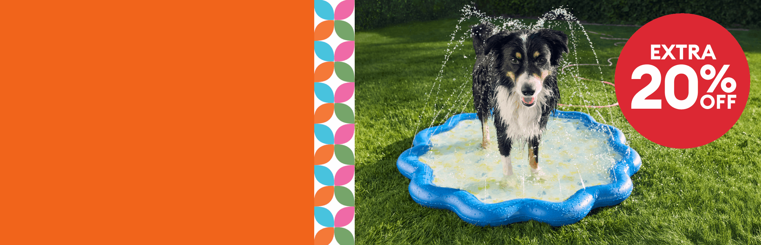Extra 20% off badge, dog in a pool, bearded dragon wearing a harness, orange cat in a tent & a guinea pig on a mat eating a strawberry