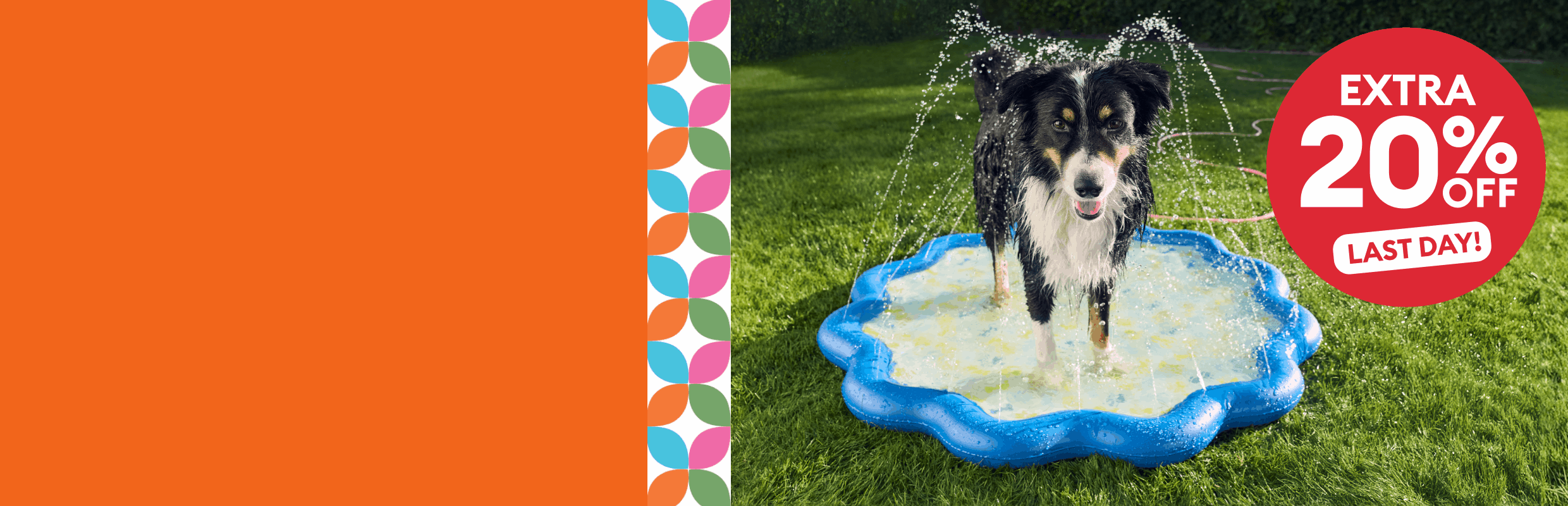 Extra 20% off last day badge, dog in a pool, bearded dragon in a harness, orange cat in a tent & a guinea pig on a mat eating a strawberry