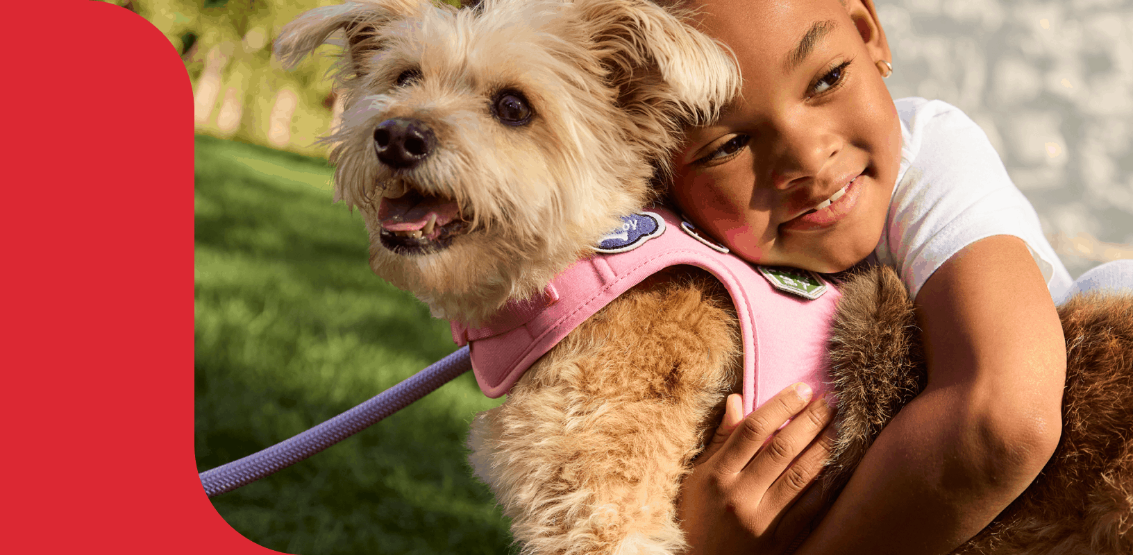 A girl hugging a dog in a pink harness, a man kissing a bearded dragon, a woman petting a white cat & a woman with a bird on her shoulder