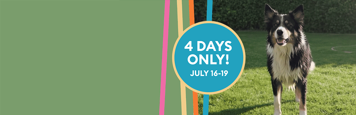 4 days only! July 16-19 message and a black & white dog outside