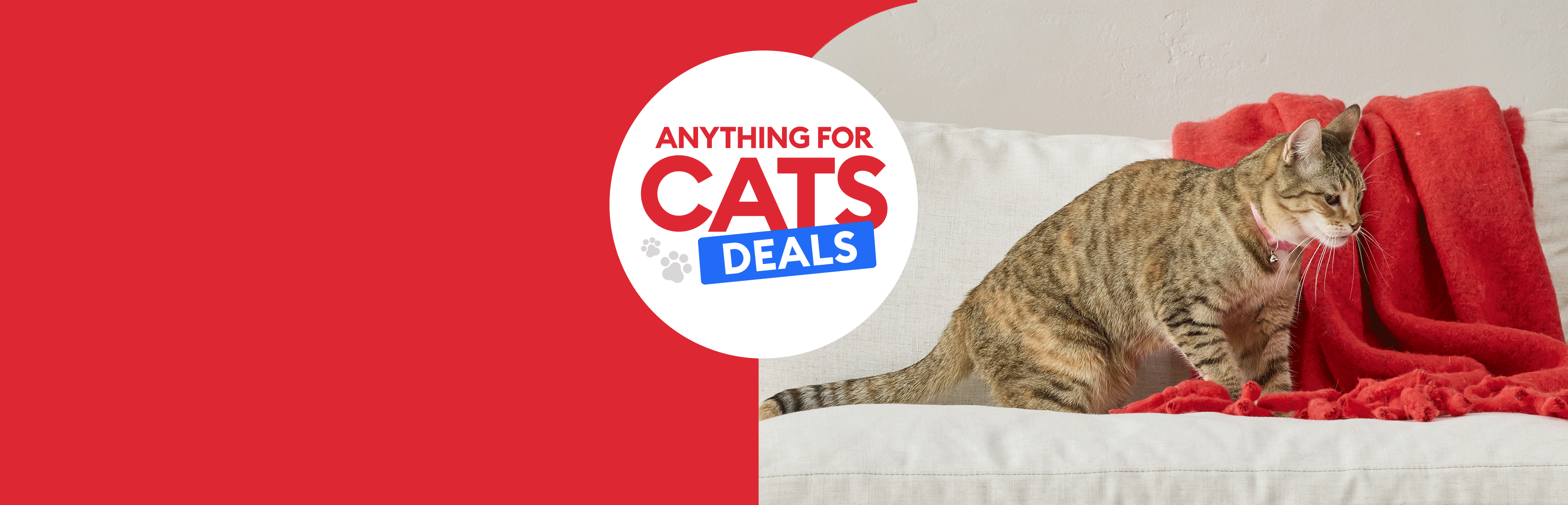 Anything for Cats Deals message and a cat standing on a red blanket on a white couch