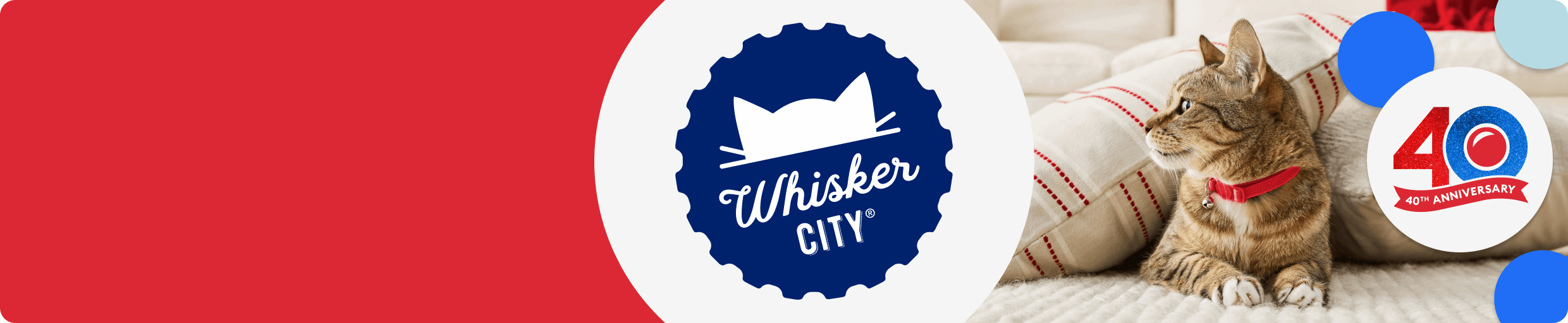 40th anniversary banner with a cat lying on the floor under pillows & logos for Whisker City, Viva La Kitty & ExquisiCat