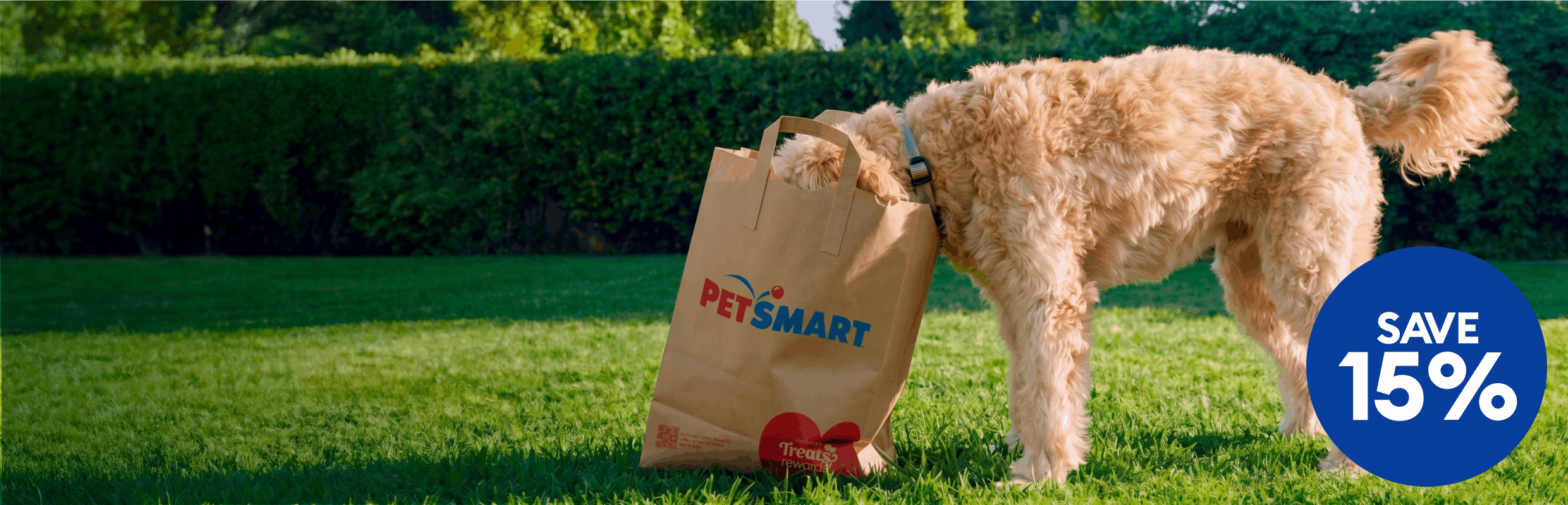 Dog standing outside with their face inside a PetSmart shopping bag & a save 15% last day callout