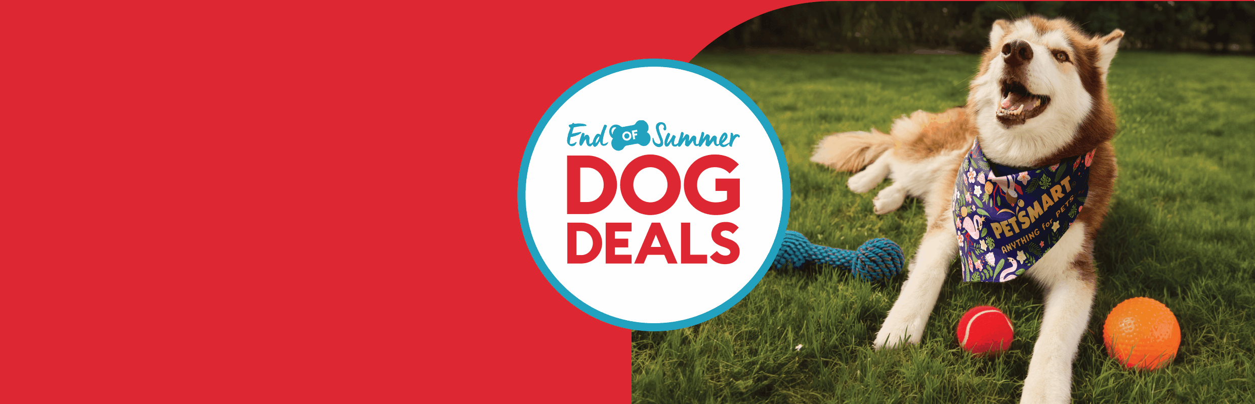 End of Summer Dog Deals $10 back in savings banner featuring a dog wearing a PetSmart bandana & toys on the grass