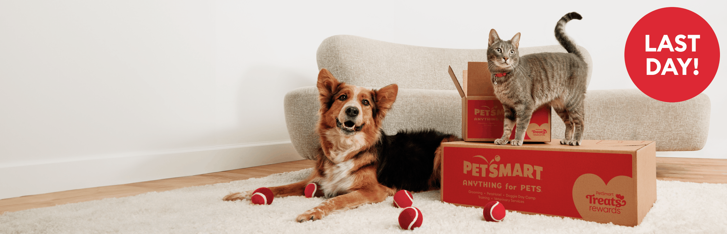 Dog & cat with PetSmart shipping boxes & toys and the callout, 35% off 1st order, 20% off 2nd order, 10% off 3rd order last day