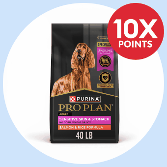 Purina Pro Plan dog food and 10X points in-store only callout