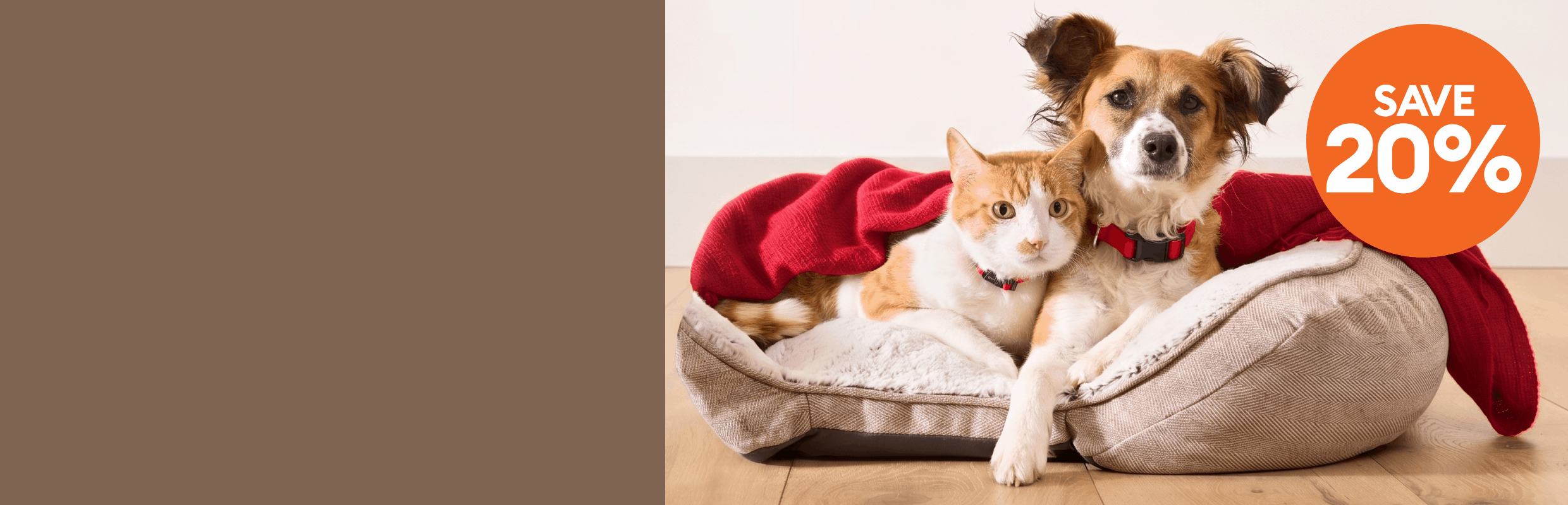 Dog & cat lying together on a bed with a red blanket and a last day callout