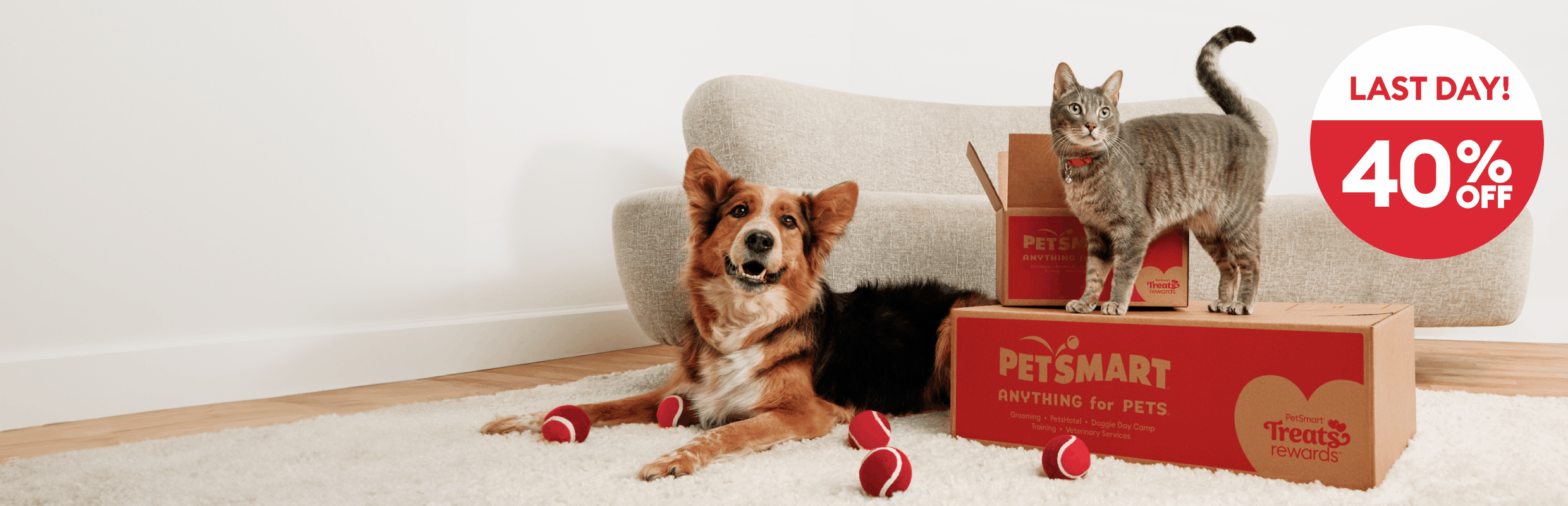 Dog & cat with PetSmart shipping boxes & toys and the callout, last day 40% off 1st order, 20% off 2nd order, 10% off 3rd order