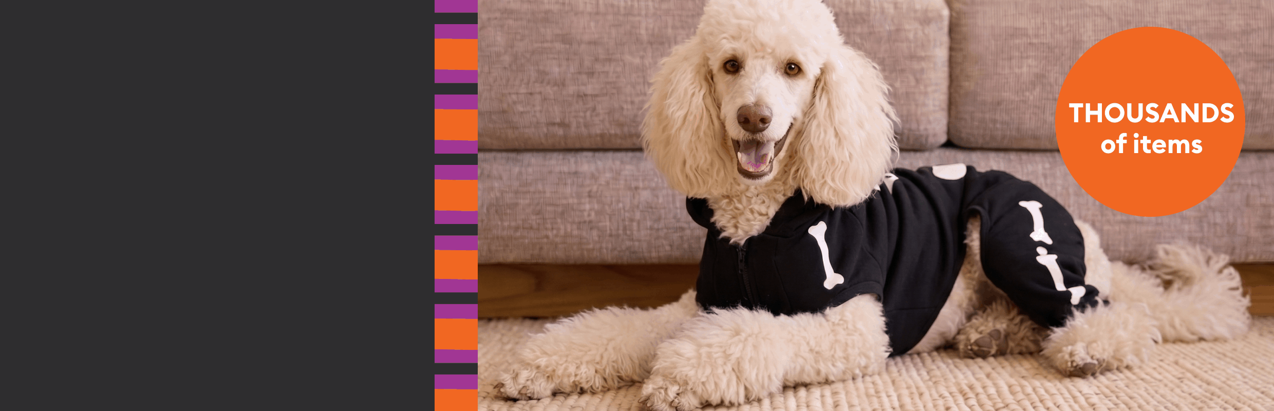 Dog wearing a skeleton costume, guinea pig inside a Halloween bed, cat playing with a scratcher & toy and a thousands of items callout