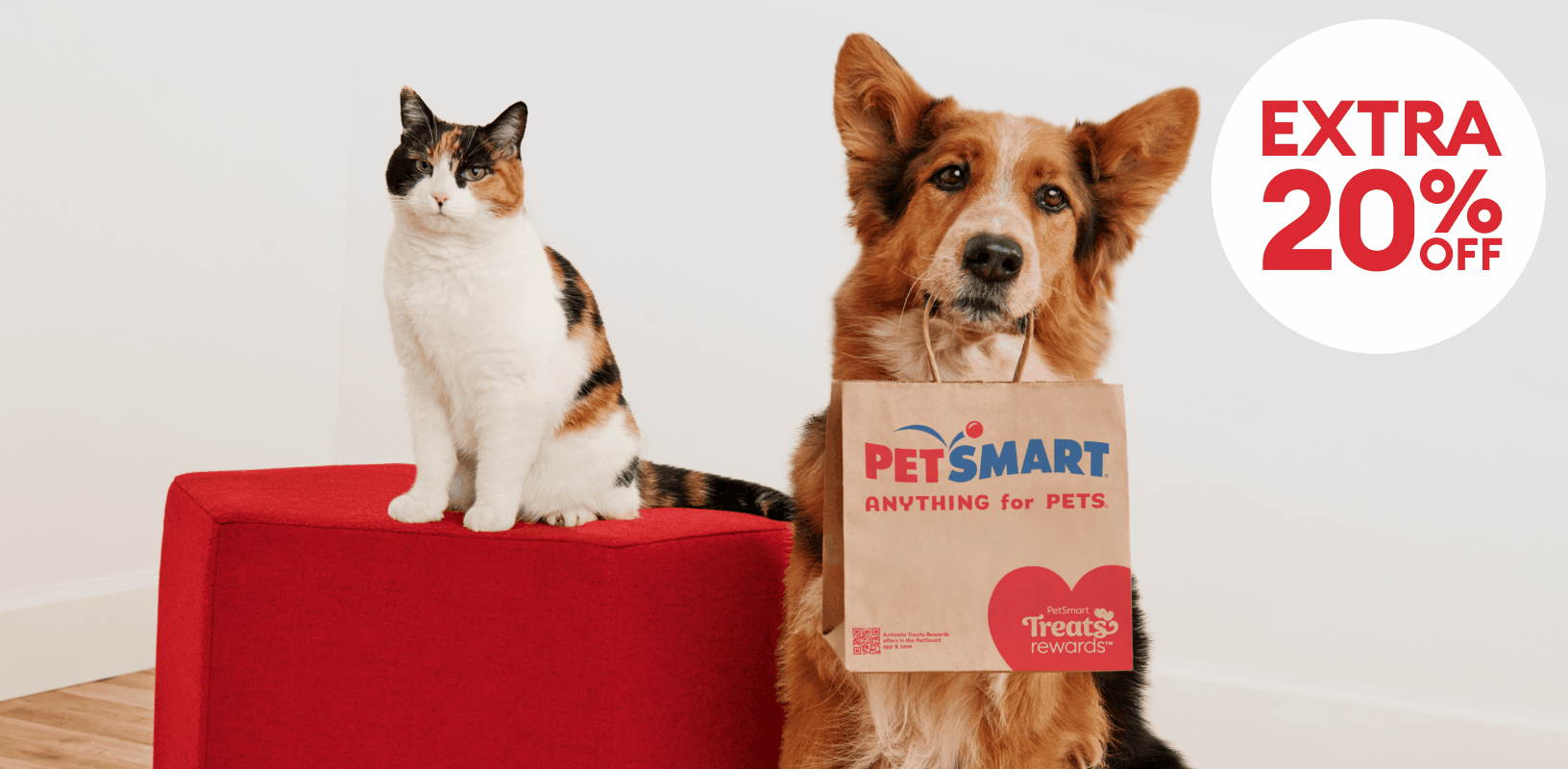 Cat sitting beside a dog holding a PetSmart shopping bag & an extra 20% off, today only callout