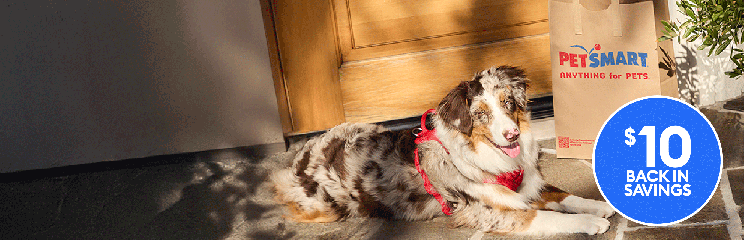 $10 back in savings callout & a dog laying by a PetSmart shopping bag