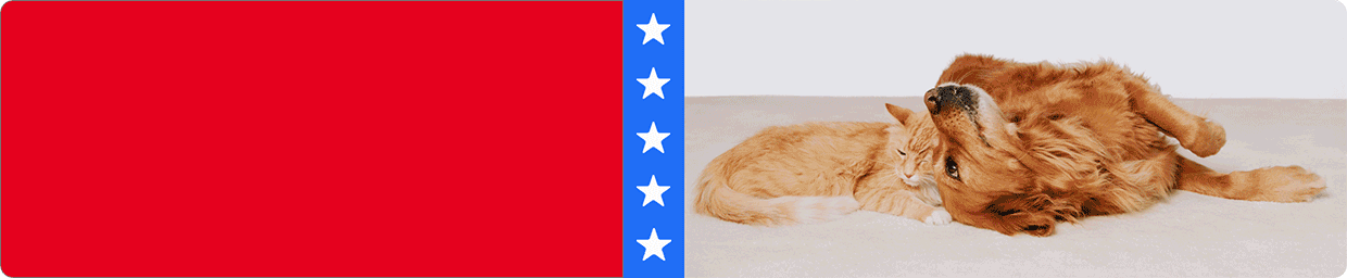 Animated pet images with a blue stripe and five white star graphics