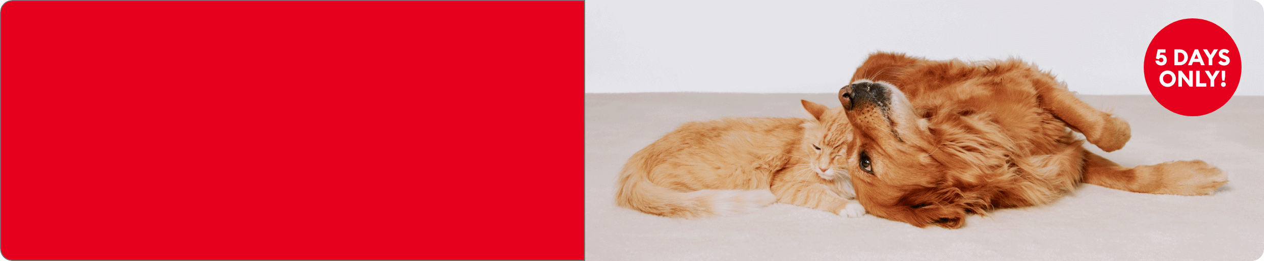 Cat & dog resting with "4 DAYS ONLY!" & "EXTRA 20% OFF" callouts