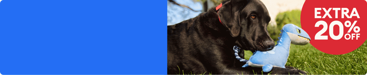 Black lab with dinosaur toy & EXTRA 20% OFF callout