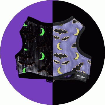 Halloween print dog harness