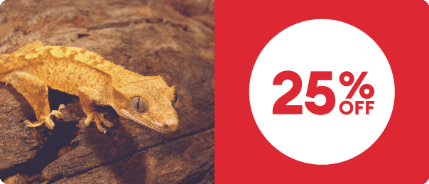 25% off callout with gecko