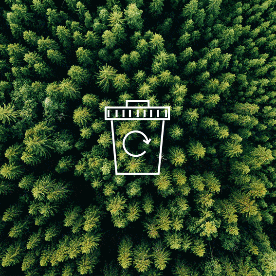 AE X ME Share Your Style American Eagle Outfitters