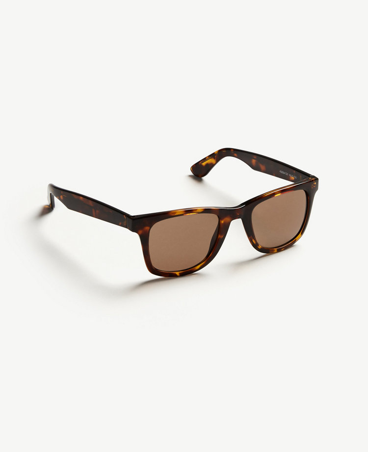 Sunglasses for Women - Aviators, Cateye and Oversized | ANN TAYLOR